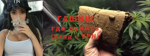 индика Зеленодольск
