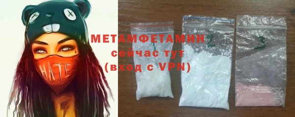 индика Зеленодольск