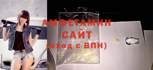 индика Зеленодольск