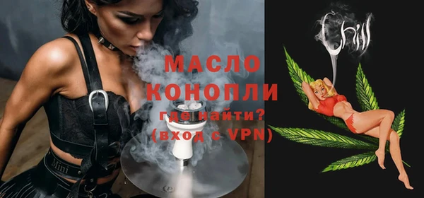 индика Зеленодольск