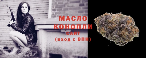 индика Зеленодольск