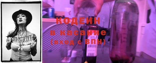индика Зеленодольск