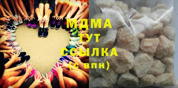 индика Зеленодольск