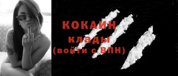индика Зеленодольск