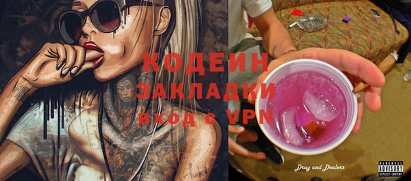 индика Зеленодольск