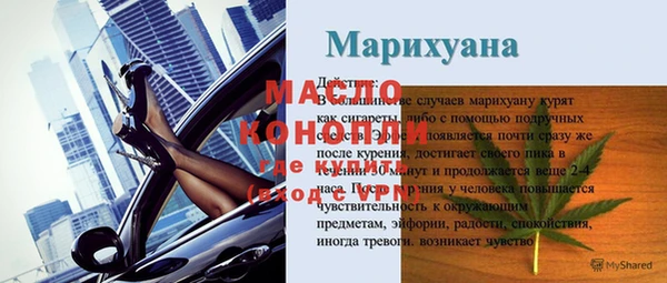 индика Зеленодольск