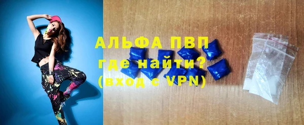 индика Зеленодольск