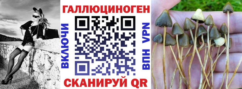 Купить закладки  Енисейск  Галлюциногенные грибы Cubensis 