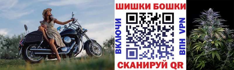 Купить  Енисейск  Каннабис план 
